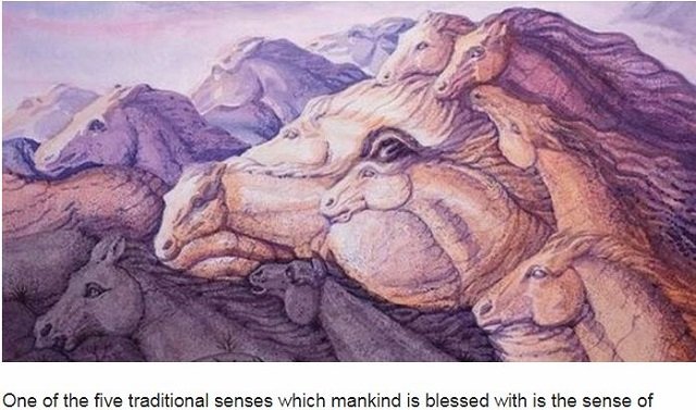 【心理テスト】パッと見で「馬が何頭見えたか」でわかる真のパーソナリティー！ 的確すぎるアドバイスで人生が変わる！の画像1