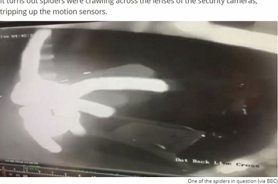 夜な夜な不気味な童謡が流れてくる街のミステリー！ 恐怖に怯える住民はノイローゼに… 意外すぎる結末に戦慄！の画像2