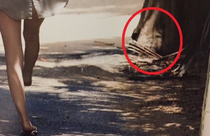 【心霊写真】グラドル杉原杏璃の写真集に少年の生首が写り込んでいると話題!の画像2