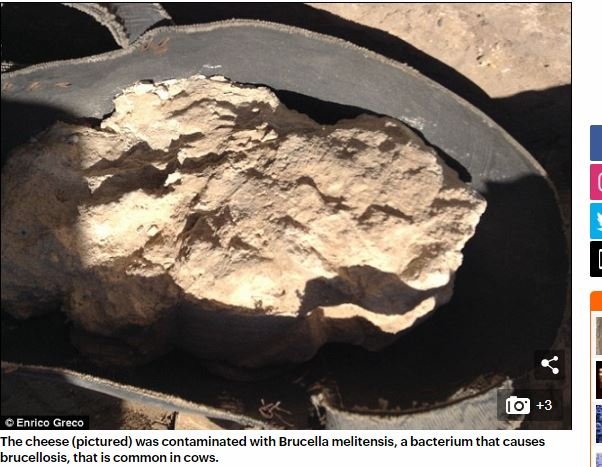 古代エジプト製「世界一古いチーズ」の呪い効果が判明！ 3200年の時を超えた最凶キラー成分に衝撃広がるの画像2