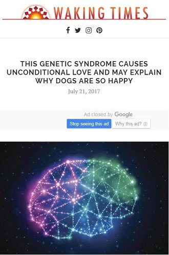 出会う人すべてを愛しまくる奇病「ウィリアムズ症候群」！  DNAが人懐こい犬と類似、人類の最新進化系か!?の画像1