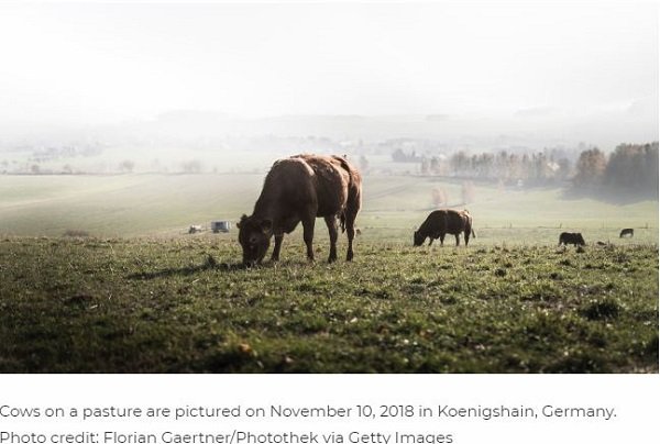 「有機農法は地球環境にクソ悪い」大学合同研究が科学誌で発表される！ エコと対極の行為… オーガニック系人間は悶絶!?の画像4