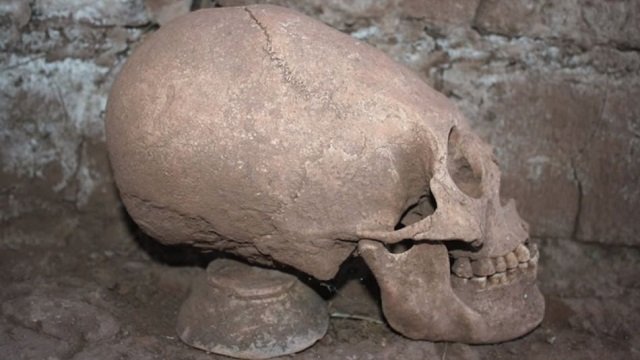 宇宙人か、新種か…パラカスの頭蓋骨に新展開！ 最新DNA鑑定で示された驚きの新事実、人類史変わるレベルか！の画像2