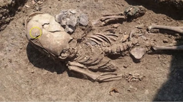 宇宙人か、新種か…パラカスの頭蓋骨に新展開！ 最新DNA鑑定で示された驚きの新事実、人類史変わるレベルか！の画像3