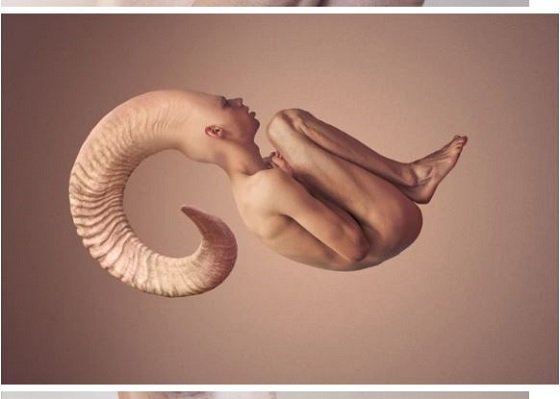 変容する人体「Metamorphosis」 ― 身体認識がぶっ壊れる超リアルな肉体変形アートの画像4