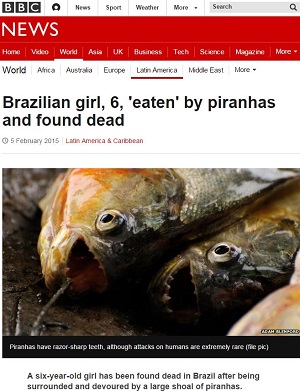 【衝撃動画】アマゾンの生きた凶器が大暴れ!? ピラニアの食欲旺盛さに戦慄!!の画像1