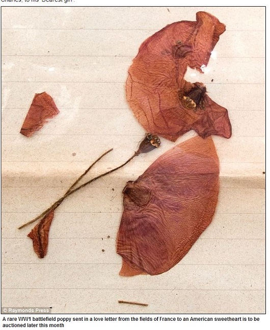 第一次世界大戦中に出された恋文が発見！ 同封されたポピーに愛と平和を込めての画像1