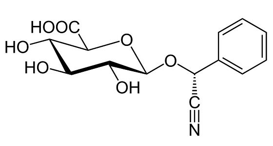 がんの特効薬といわれる「アンズの種の核／レートリル」研究が禁止された知られざる理由とは？の画像2