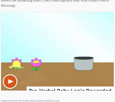 赤ちゃんは言語より先にロジックを習得していた！ 自分だけの言葉で自分と会話の画像3