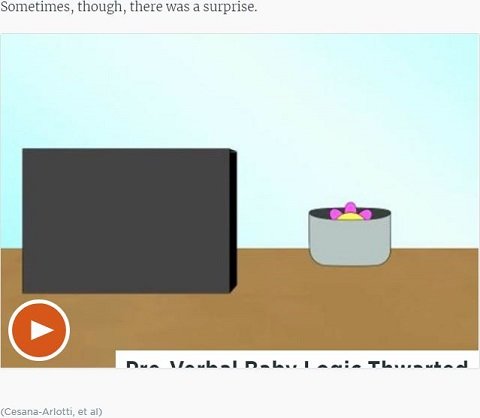 赤ちゃんは言語より先にロジックを習得していた！ 自分だけの言葉で自分と会話の画像4