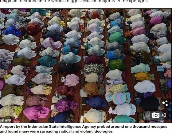 「バイオレンスに生きる」真面目な公務員が次々と豹変中！ 超過激イスラム活動家激増の裏にある陰謀とは!?＝インドネシアの画像2