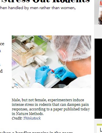 実験室内に男性研究者がいるとマウスに悪影響!?　これってアノ細胞にも…？（科学誌論文）の画像1