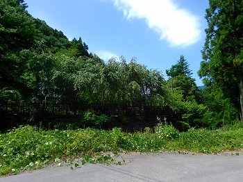 奇跡を起こす群馬「釈迦の霊泉」最強パワーの秘密とは!? 難病治療に宇宙人も協力、二代目女将が秘密を暴露!の画像8