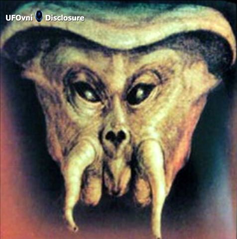 奇怪すぎる「ロドピの頭蓋骨」の謎！ 大学教授による検証も正体不明、 古代文明の遺伝子操作か!?＝ブルガリアの画像4