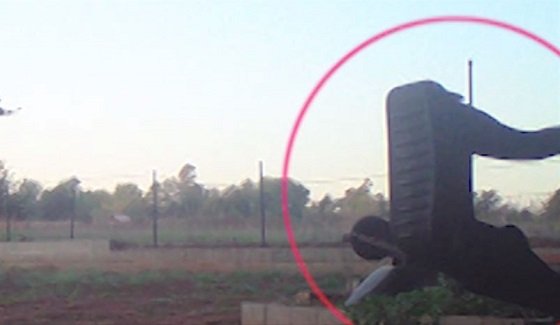 定点カメラが首のないヒューマノイドとUFOを連続撮影!? 電光石火のミステリーに動揺広がるの画像1