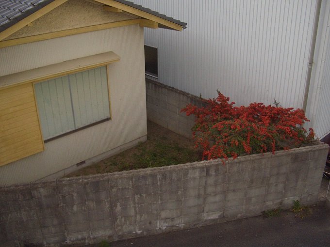 愛知の心霊屋敷「三角の家」を徹底取材！夫婦自殺、警察官の精神異常、幽霊出没、血まみれベッドの噂は本当か？の画像2