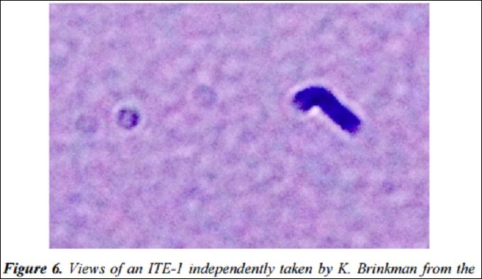 大気中に潜む「見えない生命体」の存在が観測される！ 元ハーバード物理学者「人類を監視している可能性」の画像4