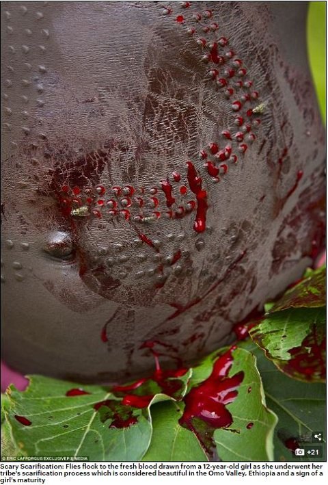 12歳で少女の体を切り刻むエチオピアの「スルマ族」 ― スカリフィケーションという、痛く美しい儀式の画像3