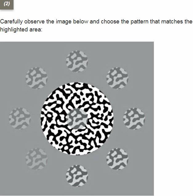 錯視画でわかる「統合失調症判定テスト」がヤバい！ 正解したら統合失調症の可能性…研究者が発表！の画像3