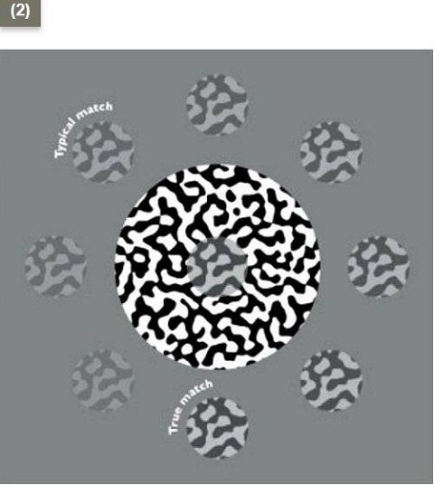 錯視画でわかる「統合失調症判定テスト」がヤバい！ 正解したら統合失調症の可能性…研究者が発表！の画像4