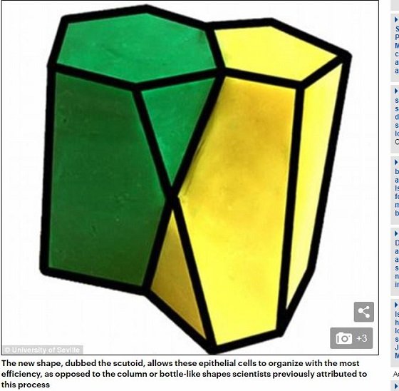 まったく新しい形「スキュートイド多面体」が発見される！ 高エネルギー効率・安定・密閉の最強構造！の画像2