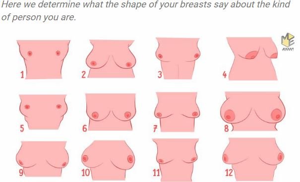 胸の形で本性から未来まで判明「おっぱい占い」!! 桃型や火山型… DNAと密接関係か、16タイプ別に解説！の画像1