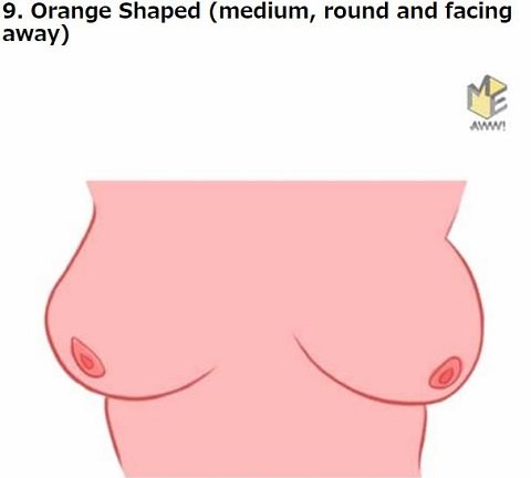 胸の形で本性から未来まで判明「おっぱい占い」!! 桃型や火山型… DNAと密接関係か、16タイプ別に解説！の画像10