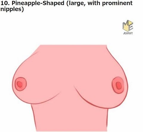 胸の形で本性から未来まで判明「おっぱい占い」!! 桃型や火山型… DNAと密接関係か、16タイプ別に解説！の画像11