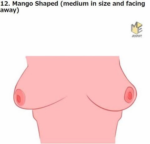 胸の形で本性から未来まで判明「おっぱい占い」!! 桃型や火山型… DNAと密接関係か、16タイプ別に解説！の画像13