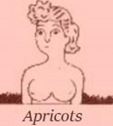 胸の形で本性から未来まで判明「おっぱい占い」!! 桃型や火山型… DNAと密接関係か、16タイプ別に解説！の画像14