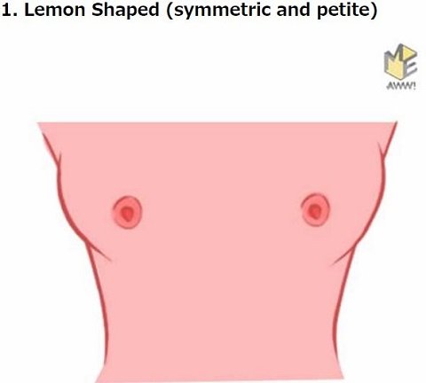 胸の形で本性から未来まで判明「おっぱい占い」!! 桃型や火山型… DNAと密接関係か、16タイプ別に解説！の画像2