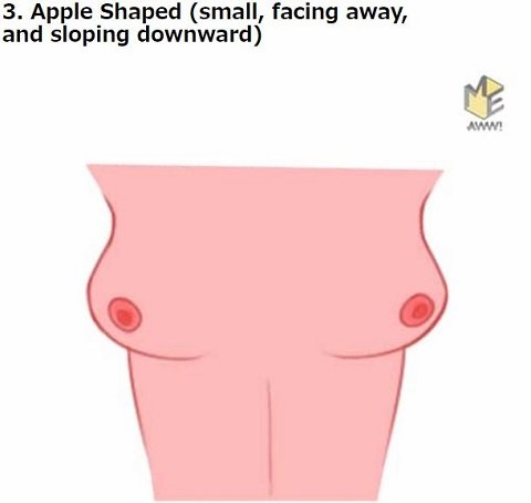 胸の形で本性から未来まで判明「おっぱい占い」!! 桃型や火山型… DNAと密接関係か、16タイプ別に解説！の画像4