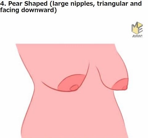 胸の形で本性から未来まで判明「おっぱい占い」!! 桃型や火山型… DNAと密接関係か、16タイプ別に解説！の画像5