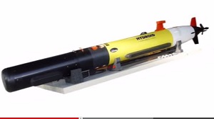 【動画】獲物を狙う野生のホホジロザメが繰り出す本気度100％の必殺技に背筋が凍る！の画像1