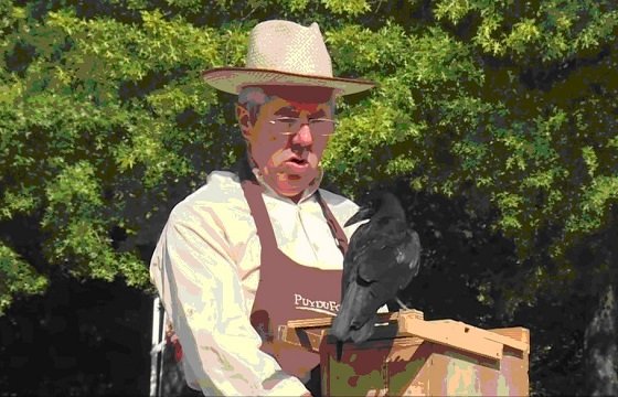 「カラス清掃員部隊」が公園の吸い殻やゴミ拾い！ 類まれなる思考力で巨大テーマパークをピカピカに＝仏の画像3