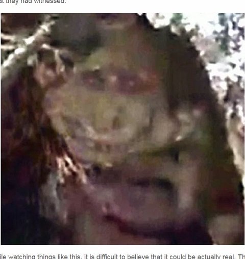 木陰に隠れる「ゴブリン」が激撮される！ ニヤケ顔のちっさいおっさんがキモかわいい！の画像2