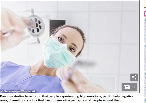 歯医者は患者の不安を「嗅ぎ取って」ミスを犯しやすくなることが判明！ 患者のストレス臭が治療に影響の画像1