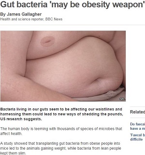 ウンチ移植でデブがうつった!?  やはり「デブ菌」は存在するのか？の画像1