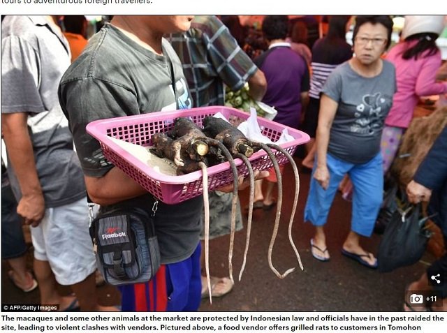苦悶の表情で焼かれた猿肉を食べる！ 絶滅危惧種が並ぶミハナサ族のフードマーケットとは？＝インドネシアの画像3