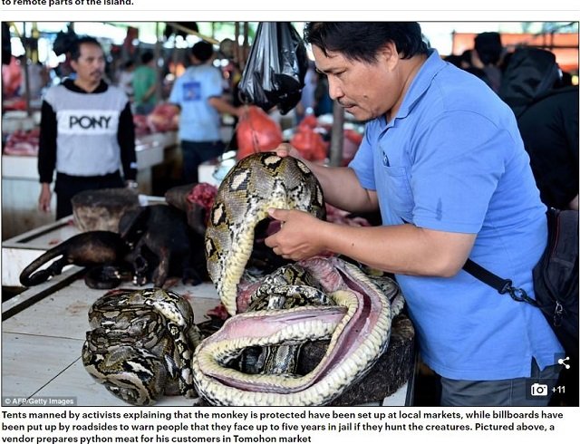 苦悶の表情で焼かれた猿肉を食べる！ 絶滅危惧種が並ぶミハナサ族のフードマーケットとは？＝インドネシアの画像5