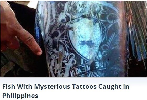 「タトゥーの紋章が彫られた魚」が水揚げされる！ 水中のエイリアンか、話題沸騰＝フィリピンの画像1