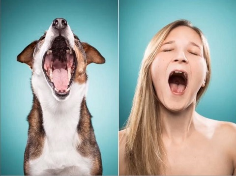 「飼い主のほうが犬に似てくる」を証明する９枚の衝撃写真＝ドイツの画像4