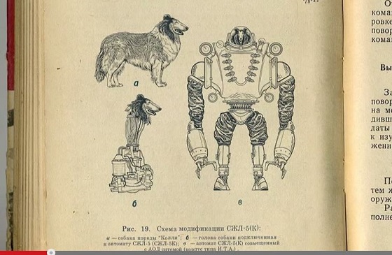 生きた頭部だけの犬？冷戦下で研究されていたサイボーグ犬開発プロジェクトとは？＝ロシアの画像1