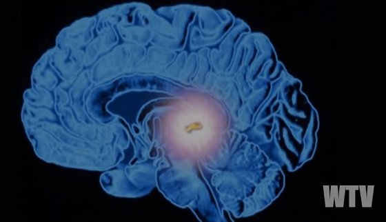 サードアイ（第6チャクラ）開眼で起こる5つの変化とは!?  松果体活性、高次の存在にアクセス、人間関係に悪影響も…！の画像2