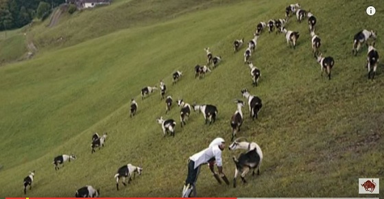 都会を離れアルプスの山でヤギになった男!! 「気分が落ち着くし、友達もできた」の画像2