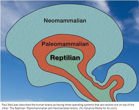 トランプは変幻型レプティリアンの最高指導者だった！ 専門家「彼の妻も明らかにトカゲ」医師「トランプは爬虫類脳」の画像1