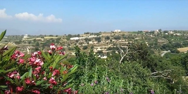 40年以上前に殺害された男性を発見、そのきっかけに世界が驚愕！ 胃袋から生えた●●が目印に！の画像1