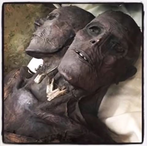 結合双生児の巨人だった!? 身長3.7m、パタゴニアの双頭ミイラ「Kap Dwa」の謎の画像2