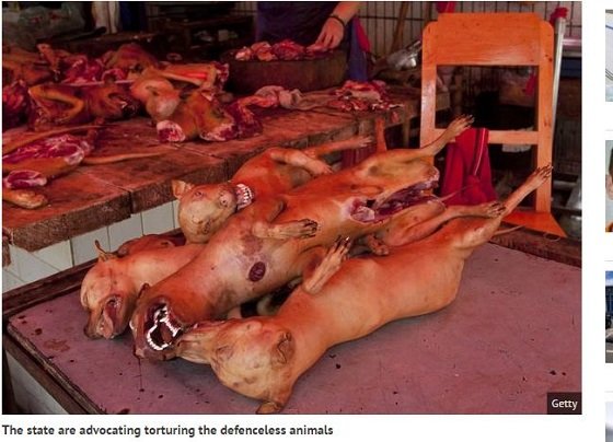 「仔犬のシチューは万薬」北朝鮮、犬肉をスーパーフードとして推奨　殺害方法や拷問方法までも…の画像2