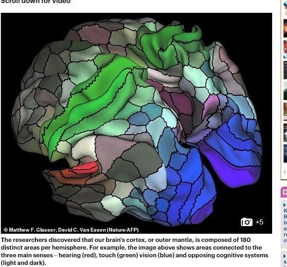 脳の詳細な地図、新たに100領域が発見される！ 人体最後の秘境脳の謎の画像2